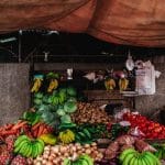 Synthetic Food Regulations: Lab-Grown Rights