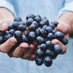 The Return of the Root Cellar: Modern Food Storage Solutions