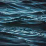 Remote River Expeditions: Wild Water Adventures
