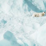 Arctic Culture Immersion: Inuit Life Experience